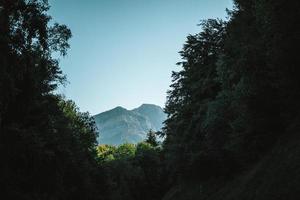 Majestic mountains in the Alps covered with trees and clouds photo