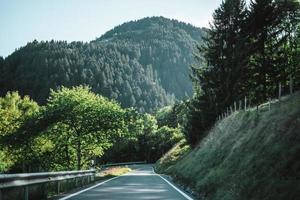 Majestic mountains in the Alps covered with trees and clouds photo