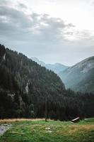 Majestic mountains in the Alps covered with trees and clouds photo