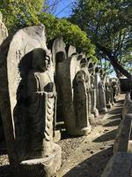 muchos budista estatuas en hase-dera templo en kamakura, Japón foto
