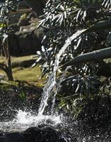agua con movimiento difuminar viniendo fuera de un bambú tubo en un japonés templo foto