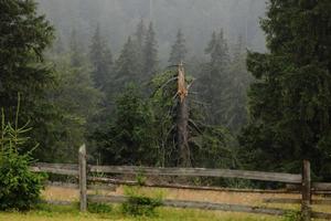 Prado de otoño con una valla de madera vieja en una granja de cerca, en las montañas humeantes en un día brumoso. destino de viaje escénico, montañas de los cárpatos foto