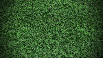 Green grass background field area It is a grass that looks short, cut evenly, making it suitable for wallpapering in design. And graphics ready to use vignette. photo