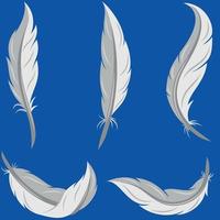 Bird feather vector design