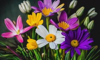 flowers in the garden background photo