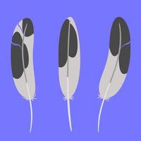 Set of seagull feathers in flat style. vector