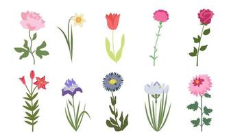 Set of garden flowers. Nature design elements in flat style. vector