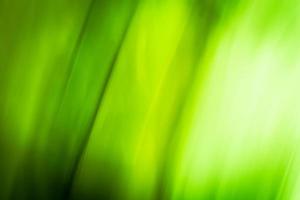 Abstraction of light through grass leaves, green blurred background. photo