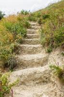 The ladder from the earth.Stairs in the field.Wild field. Close-up. photo