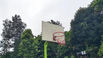 Basketball hoop with net on a background of trees photo