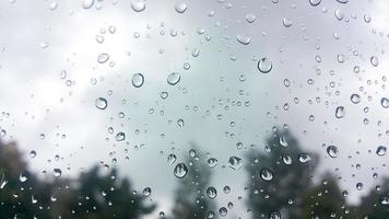 Raindrops at window with blurred tree background. The rainy season. photo