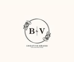 initial BV letters hand drawn feminine and floral botanical logo suitable for spa salon skin hair beauty boutique and cosmetic company. vector