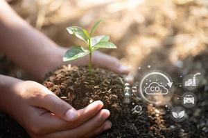 Hand holding seedlings with environment icons over the Network connection on nature background, Technology ecology concept. photo