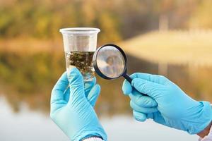 Close up ecologist hands wears blue gloves, holds magnifying glass and glass that contain sample water and water plants from the lake. Concept, explore, inspect water quality photo