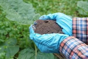 Closeup gardener hands holds natural compost soil in garden. Concept, inspect soil quality to find the best for growing plants. Agriculture. photo