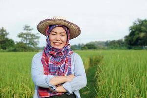 Happy Asian woman farmer is at paddy field, wears hat and cross amrs on chest, feels confident.  Concept, agriculture occupation, farmer grow organic rice. photo