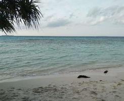 Natural scenery on Karimunjawa beach photo