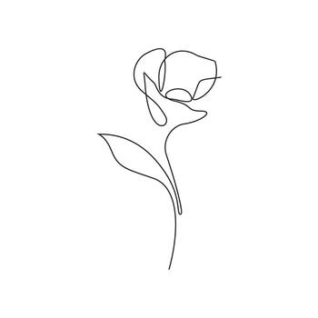 Continuous line drawing of flower. Continuous line drawing of flower. Black line sketch on white background. Vector illustration