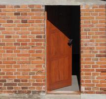 open door in brick wall photo