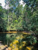 Lake in woods photo