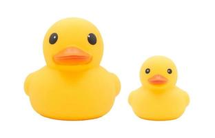 Set of Yellow rubber ducks on isolated white background. The cute object isolated on white background. photo