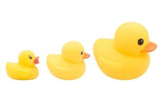 Set of Yellow rubber ducks on isolated white background. The cute object isolated on white background. photo