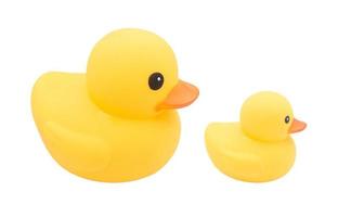 Set of Yellow rubber ducks on isolated white background. The cute object isolated on white background. photo