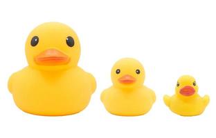 Set of Yellow rubber ducks on isolated white background. photo