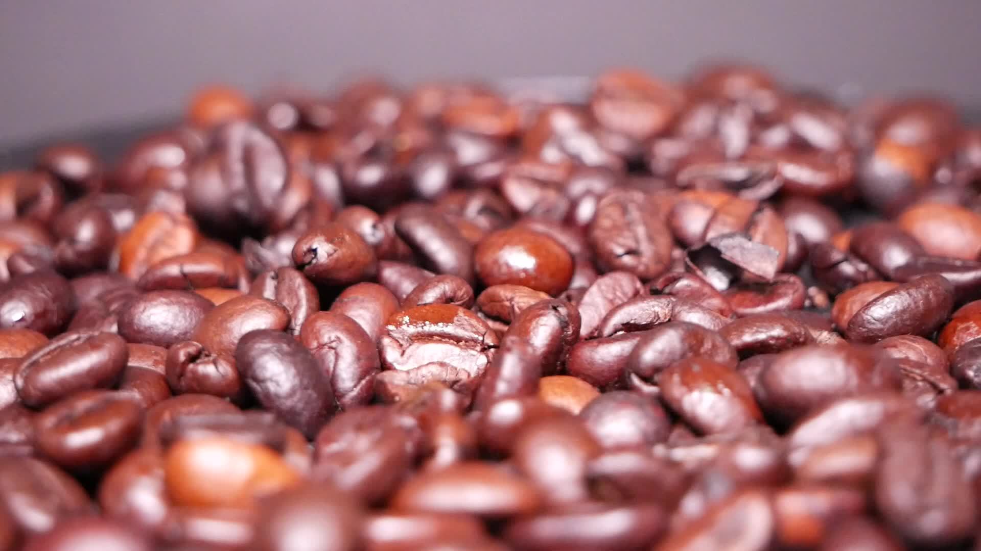 Freshly roasted coffee beans close up 20519039 Stock Video at Vecteezy