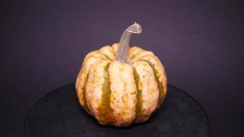 Ripe pumpkin on black background video