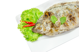 fish grilled with salt  isolated png