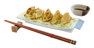 gebraten Knödel oder Gyoza isoliert png