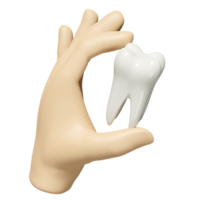 3d hands hold dental molar teeth model icon isolated. health of white teeth, dental examination of the dentist, 3d render illustration png
