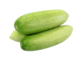 group cucumber isolated png