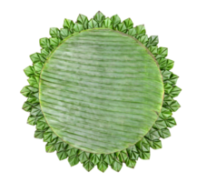 Flower of banana leaves isolated png