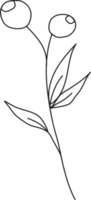 main tiré botanique floral ligne art illustration png
