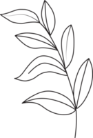 hand- getrokken botanisch bloemen lijn kunst illustratie png