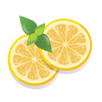 Fresh sliced lemon fruits isolated png