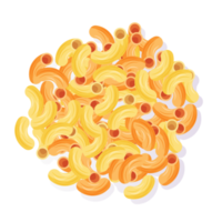 macaroni noodle isolated illustration png