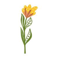 cute flower carden isolated icon vector