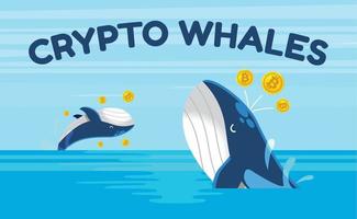 Cartoon vector flat design illustration of whale with bitcoin blockchain and NFT token. Bitcoin whale illustration with whale tail in ocean. Big investor, trader in cryptocurrency market.