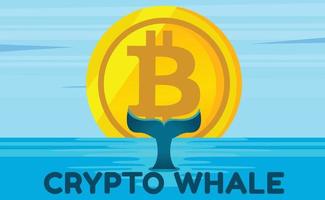 Cartoon vector flat design illustration of whale with bitcoin blockchain and NFT token. Bitcoin whale illustration with whale tail in ocean. Big investor, trader in cryptocurrency market.