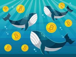 Cartoon vector flat design illustration of whale with bitcoin blockchain and NFT token. Bitcoin whale illustration with whale tail in ocean. Big investor, trader in cryptocurrency market.