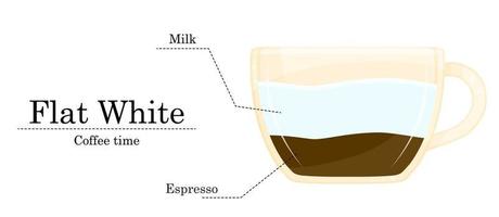 Vector illustration of coffee recipe, flat white recipe, coffee shop illustration