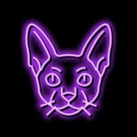 cornish rex cat cute pet neon glow icon illustration vector