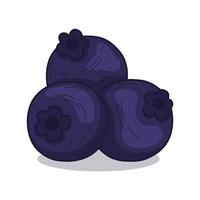 Hand Drawn Tropical Blueberry Fruit vector