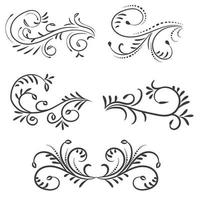 ornamental regla líneas en diferente diseño, decorativo divisores, remolino elementos, vector gráfico elementos para diseño vector elementos