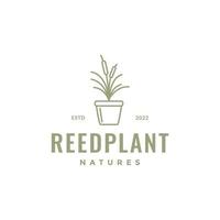 plant reed leaves grass pots vase hipster logo design vector icon illustration