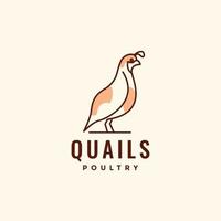 bird quails poultry little chicken meat egg lines abstract modern logo design vector icon illustration