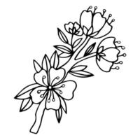 Sakura flower doodle icon. Back line isolated on white. One line contour floral drawing.Vector illustration vector